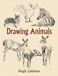 Drawing Animals - Laidman, Hugh