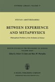 Between Experience and Metaphysics