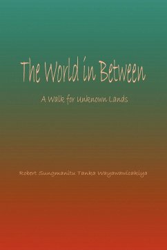 World in Between - Sungmanitu, Robert; Wayawawicakiya, Tanka; Melodia, Robert Wolf Teacher