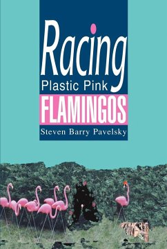 Racing Plastic Pink Flamingos - Pavelsky, Steven Barry