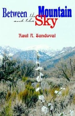 Between the Mountain and the Sky - Sandoval, Raul A.