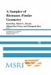A Sampler of Riemann-Finsler Geometry - Bild 1