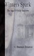 Winter's Spark - Bild 1