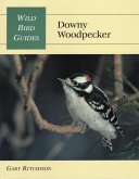 Wild Bird Guide: Downy Woodpecker