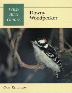 Wild Bird Guide: Downy Woodpecker - Ritchison, Gary