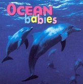 Ocean Babies