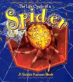 Spider - Kalman, Bobbie