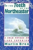 In the Teeth of the Northeaster: A Solo Voyage on Lake Superior