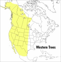 A Peterson Field Guide to Western Trees - Petrides, Olivia