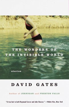 The Wonders of the Invisible World - Gates, David
