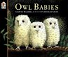 Owl Babies - Bild 1