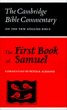 The First Book of Samuel - Bild 1