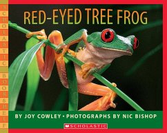 Red-Eyed Tree Frog - Cowley, Joy