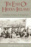 The End of Hidden Ireland