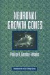 Neuronal Growth Cones - Bild 1