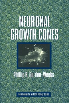 Neuronal Growth Cones - Gordon-Weeks, Phillip R.