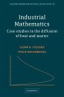 Industrial Mathematics - Bild 1