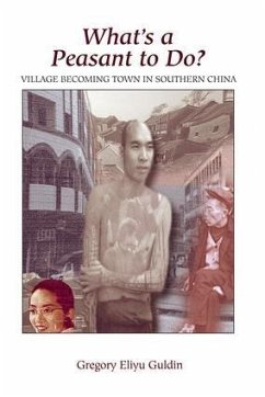What's a Peasant to Do? Village Becoming Town in Southern China - Guldin, Greg