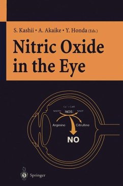 Nitric Oxide in the Eye - Kashii, Satoshi / Akaike, Akinori / Honda, Yoshihito (eds.)