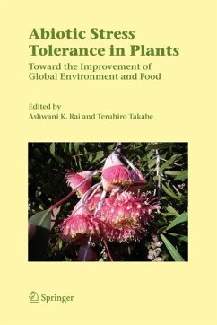 Abiotic Stress Tolerance in Plants - Rai, Ashwani K. / Takabe, Teruhiro (eds.)