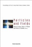 Particles and Fields: Proceedings of the XI Jorge Andre Swieca Summer School