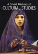 A Short History of Cultural Studies - Bild 1