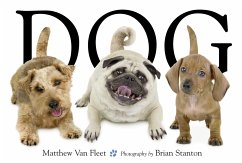 Dog - Fleet, Matthew Van