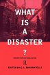 What is a Disaster? - Bild 1