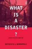 What Is a Disaster?