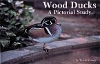 Wood Ducks a Pictorial Study