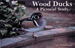 Wood Ducks a Pictorial Study - Veasey, Tricia