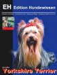 Yorkshire Terrier - Bild 1