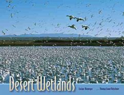 Cover Desert Wetlands