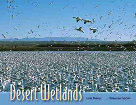 Desert Wetlands