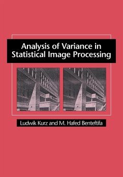 Analysis of Variance in Statistical Image Processing - Kurz, Ludwik; Benteftifa, M. Hafed