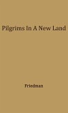 Pilgrims in a New Land.