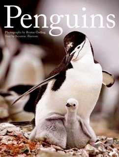 Penguins - Ostling, Brutus; Akesson, Susanne