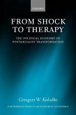 From Shock to Therapy