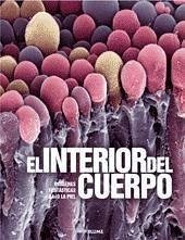 El interio del cuerpo - Chorlton, Windsor