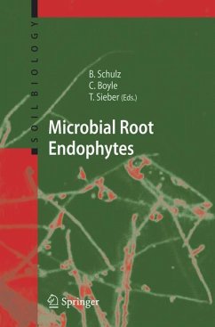 Microbial Root Endophytes - Schulz, Barbara J.E. / Boyle, Christine J.C. / Sieber, Thomas N.