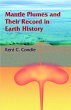 Mantle Plumes and their Record in Earth... - Bild 1