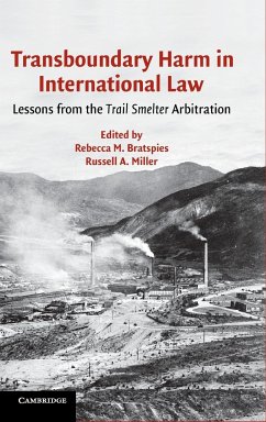 Transboundary Harm in International Law - Bratspies, Rebecca M. / Miller, Russell A. (eds.)