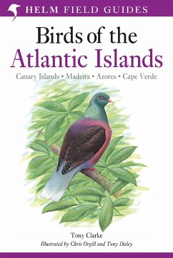 Field Guide to the Birds of the Atlantic Islands - Clarke, Tony