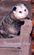 'Possum Stu - Bild 1