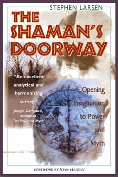 The Shaman's Doorway - Larsen, Stephen