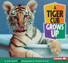 A Tiger Cub Grows Up - Hewett, Joan