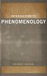 Introduction to Phenomenology - Bild 1