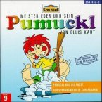 Pumuckl und die Angst / Der verhängnisvolle Schlagrahm, 1 Audio-CD