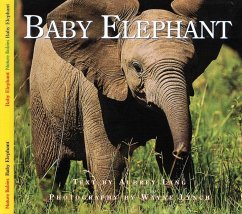 Baby Elephant - Lang, Aubrey