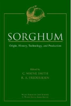 Sorghum